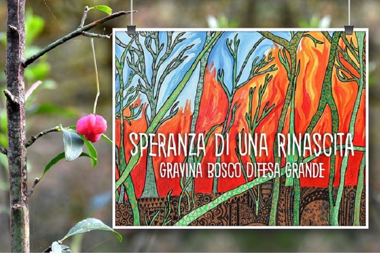 Gravina e il suo Bosco Difesa Grande - Speranza di una rinascita