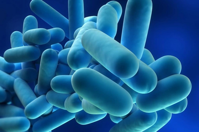 legionella
