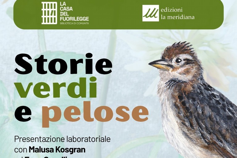 libro storie versi e pelose