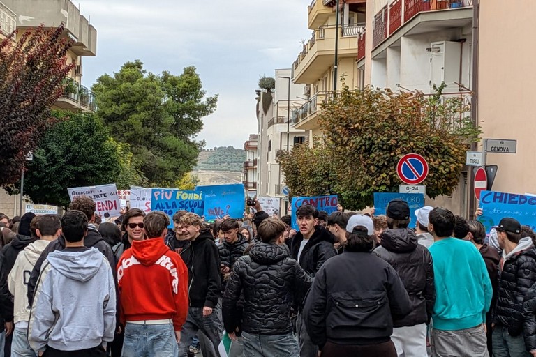 manifestazione studenti 301026