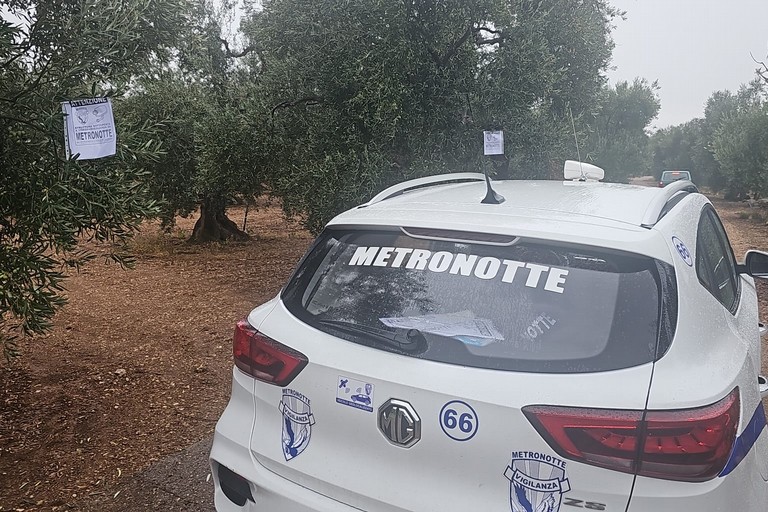 metronotte controllo olive