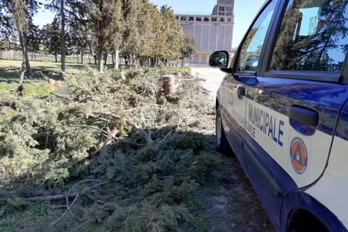 Maltempo a Gravina