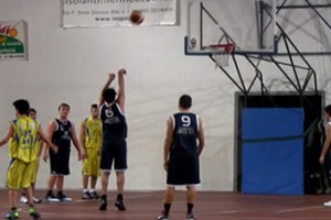 3newbasket