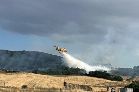 Cinque anni, zero incendi: il bosco Difesa Grande al sicuro anche nel 2026