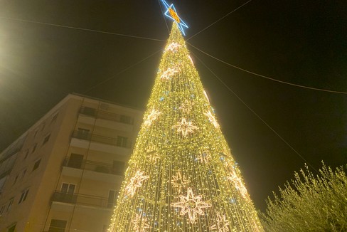 Acceso l’albero di Natale in Piazza Scacchi