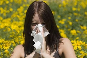 Allergie