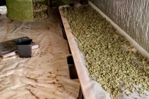 Droga: arresti della Guardia di Finanza a Gravina