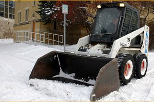 Bobcat