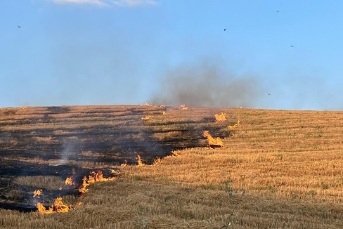 Lotta agli incendi boschivi: le prescrizioni