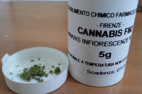 cannabis terapeutica