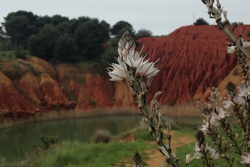 Concorso fotografico “Scopri e fotografa il patrimonio geologico della Puglia”