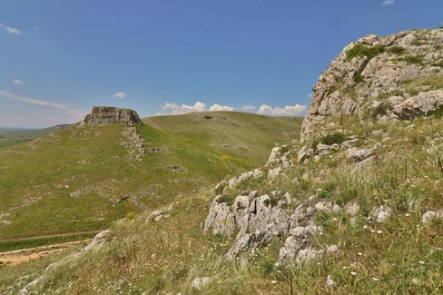 Nomina Loizzo al Parco Alta Murgia, le reazioni