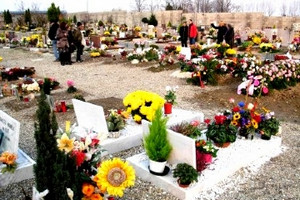 Cimitero