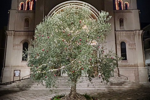 Confagricoltura Bari Bat: Le sfide del 2025 per l’agricoltura