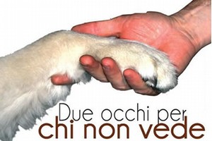 due occhi per chi non vede