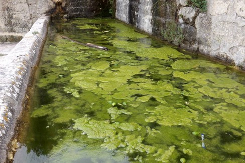 fontana la stella degrado