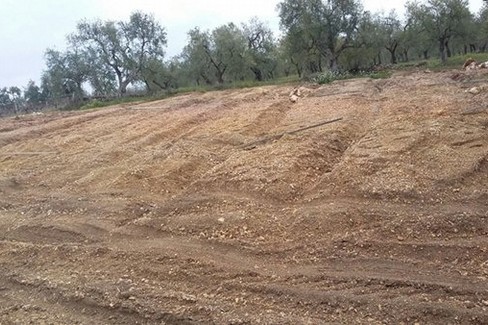 Furti nelle campagne: Paolicelli e Pentassuglia incontrano il Prefetto di Bari
