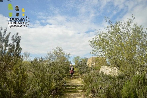 Giardino delle delizie