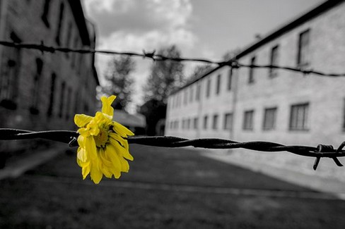 Le iniziative del Comune per la Giornata della memoria