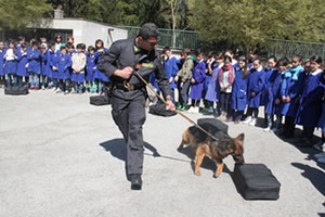 giornata legalità scuola domenico-savio