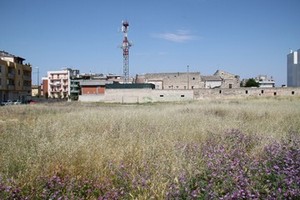 via alfieri