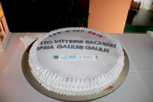 tortaitc