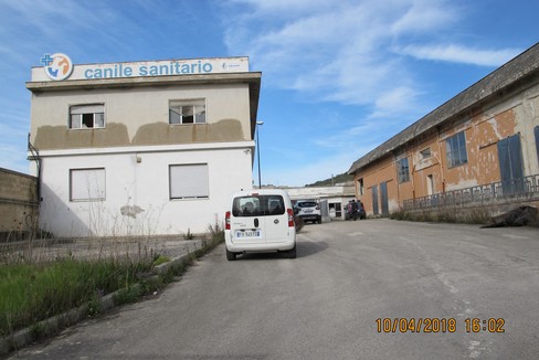 Canile Sanitario, il Comune cerca gestore