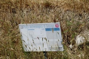 parco archeologico 2014