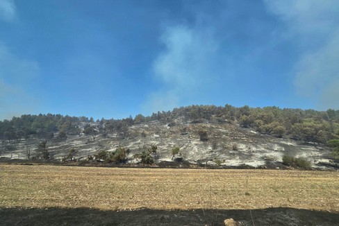 Incendio Alta Murgia, fase di bonifica