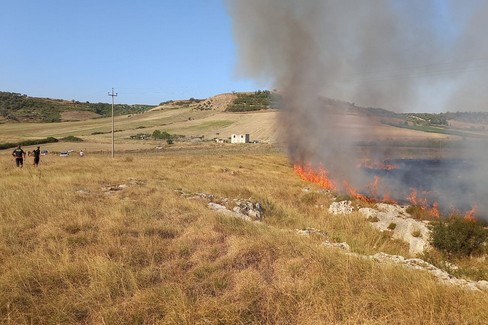 Rischio incendi, Cia Levante: “Coinvolgere gli agricoltori nella prevenzione”