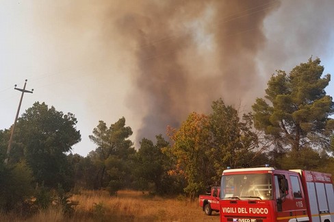 Incendio nel bosco