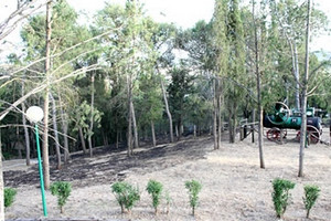 incendio parco bimbi