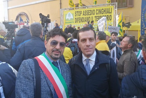 Coldiretti: oltre 300 incidenti causati da cinghiali in Puglia