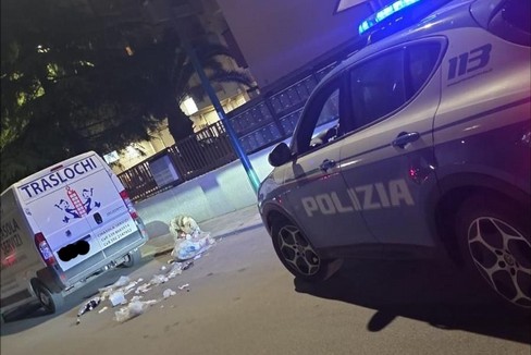 Non un lupo, ma un cane cecoslovacco