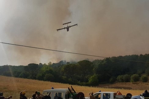 mezzi in azione per incendio bosco