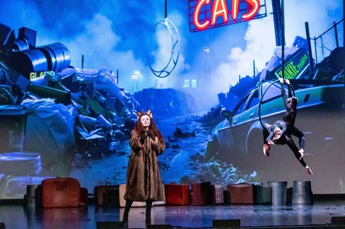 Successo travolgente per il musical “CATS” dell’Accademia Arabesque Movie Dance