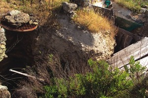 Incuria nel parco archeologico