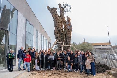 Il “Patriarca” pone nuove radici in Puglia: ora Gravina è la sua casa