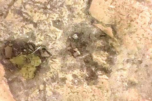 Ci sono orme dei dinosauri? Gravina spera in conferma scientifica
