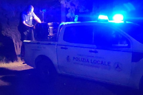 Ancora a fuoco la pineta comunale