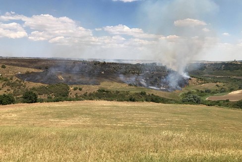 Incendi: le fiamme minacciano il Bosco