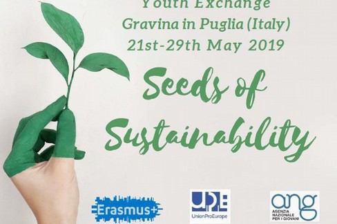 seeds of sustainability