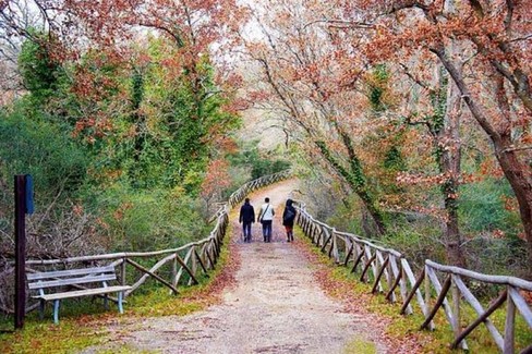 Il Bosco Difesa Grande: una storia da conoscere e raccontare