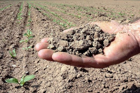 Siccità: Coldiretti, in Puglia solo 10% volume autorizzato di acqua