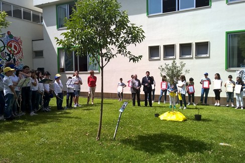 Un albero per ricordare - Montemurro