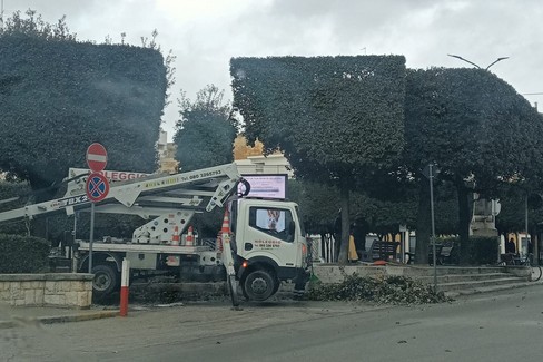 Servizio Verde Pubblico, Lapolla Calculli e Quercia chiedono spiegazioni