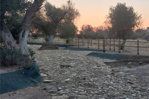 “Via Appia: un Po' di chiarezza”