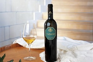 Vino