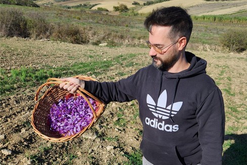 Produrre Zafferano a Gravina