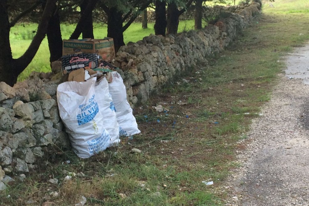 Operai Arif Puglia puliscono zona del Parco